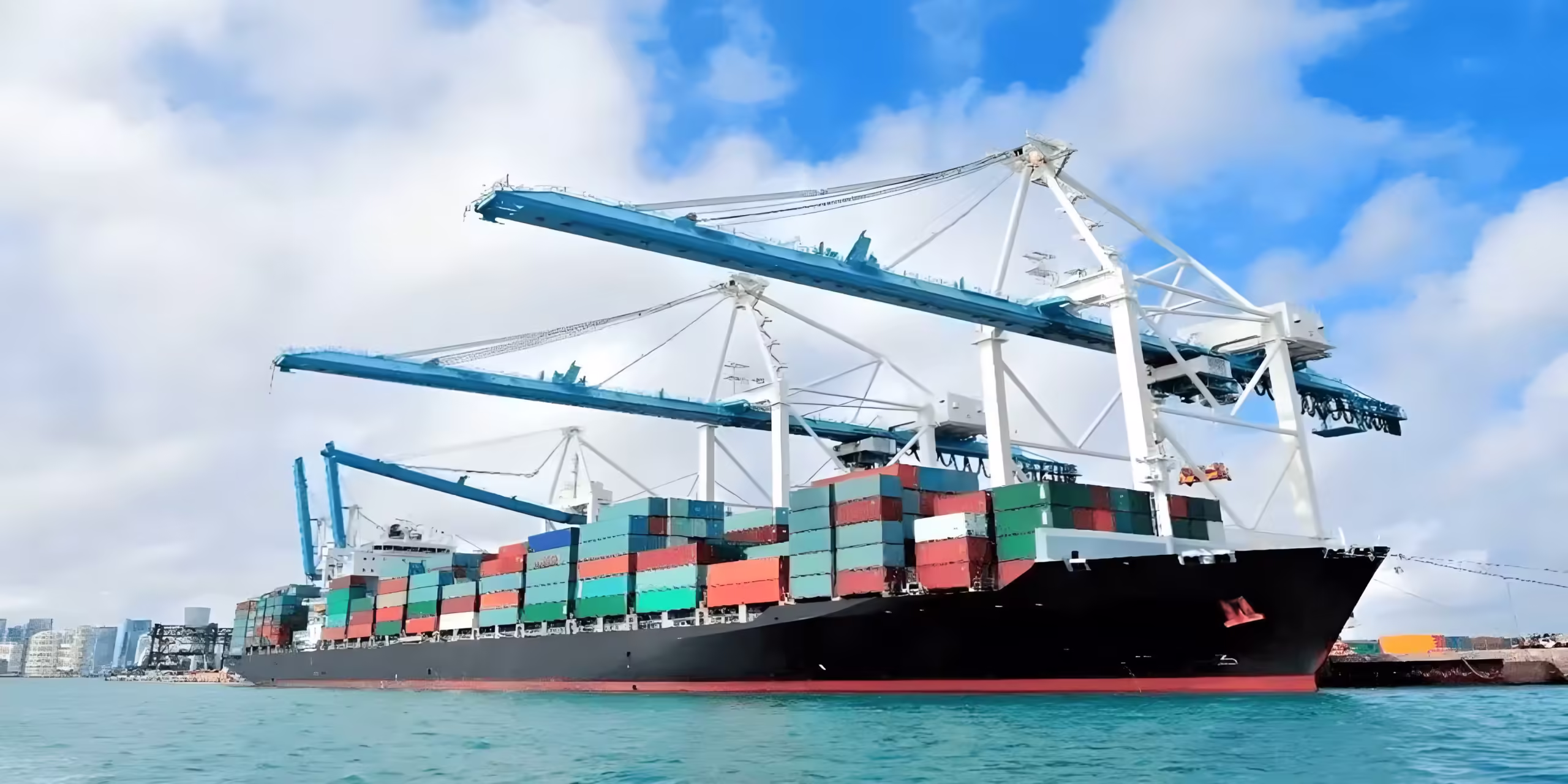 shipping return policy4 updated scaled by SuchReal™ Case